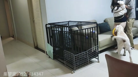 定拍租房绑架 第9张
