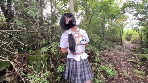 小叶林间奇遇记（上） 第9张