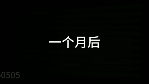 谍兰花（中） 白洁和刘若曦是岛国潜伏在A国的卧底， 在一次任务中白洁暴露被捕，审讯期间 白洁拒不承认... 第9张