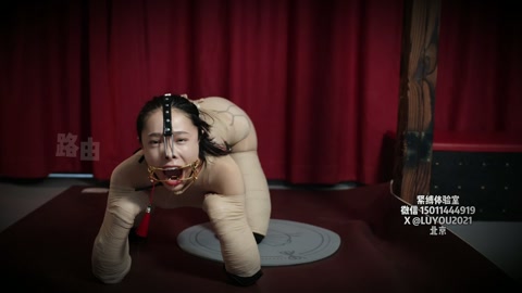 人儿犬 美人俯身为犬，被束缚四肢 不能站立只能爬行 嘴巴鼻子都被禁锢 甚至不能做出任何表情 口水直流... 第10张