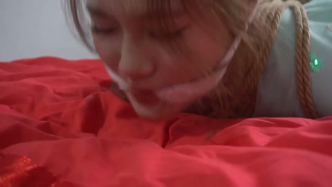 定制女神捕之千金蒙冤案（第一集） 第10张