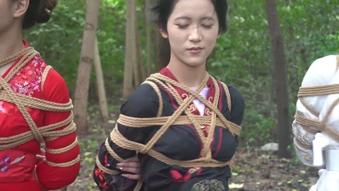 定制女神捕之千金蒙冤案（第三集） 第10张