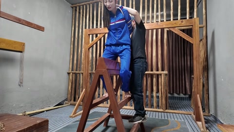 木马审讯佳佳 第10张