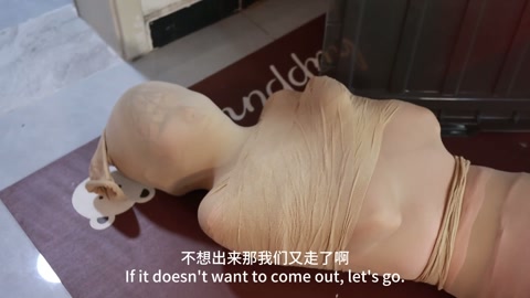 模特贮存 “模特用完 需要保存好 下次再继续使用。。。如何妥善贮存她呢？不能让她跑掉 也不能有损伤。... 第10张