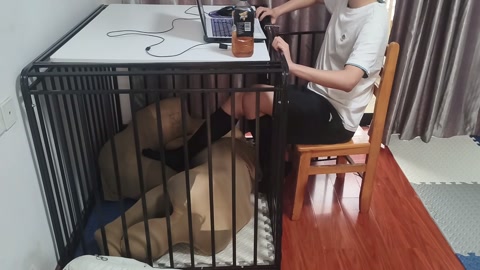 特殊订单三：情侣双人丝袜全包进笼子当脚垫 第10张