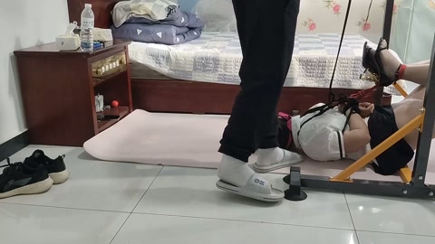 狗蛋驷马训练，疼的狗蛋嗷嗷叫，最后很精彩，真实表演请勿模仿 第10张