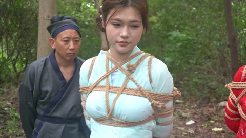 定制女神捕之千金蒙冤案（第三集） 第11张
