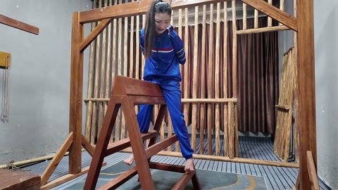 木马审讯佳佳 第11张