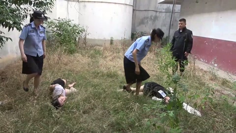 城中桃李愁风雨（下集） 第12张