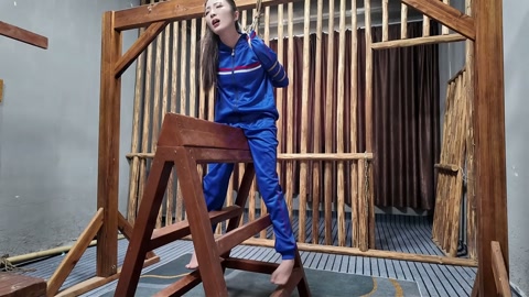 木马审讯佳佳 第12张