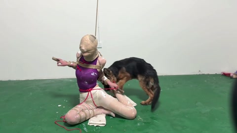 狗丈夫的小蛋糕 第12张