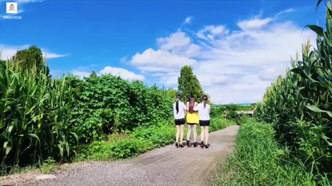 罪责难逃 冯静漂亮的空姐，本来有着人人向往的工作与生活因遭受吸血鬼前男友长期变本加厉索要钱财，下毒乘... 第12张