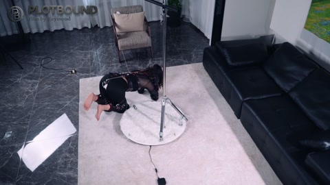自动电击遛狗装置（全套狗狗套装电击马具口塞G钩长时间训练） 第12张